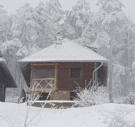 Apartmani Milojevic Divčibare Exteriér fotografie