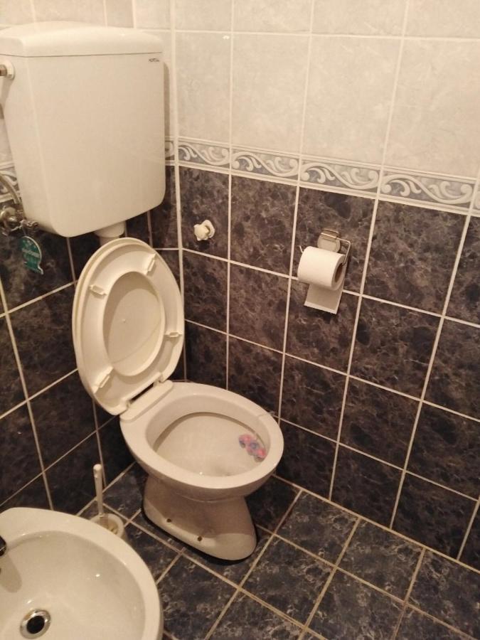 Apartmani Milojevic Divčibare Exteriér fotografie