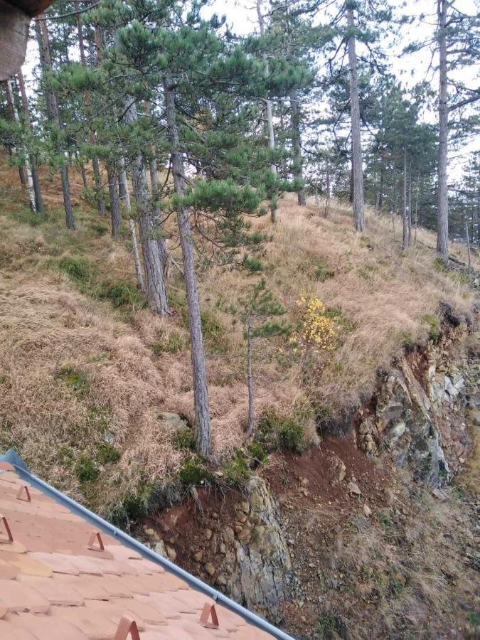 Apartmani Milojevic Divčibare Exteriér fotografie